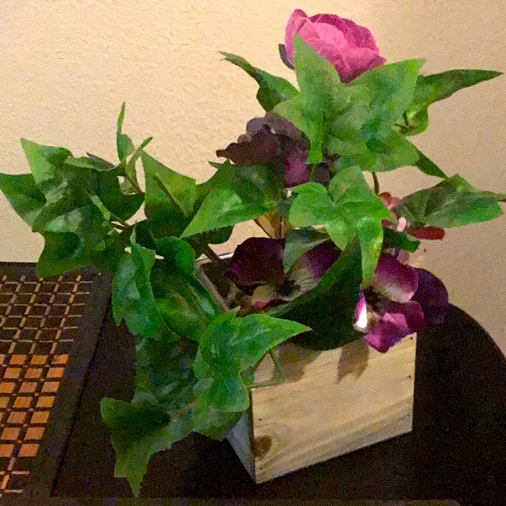 “Home Decor” rustic plant 🪴🌺